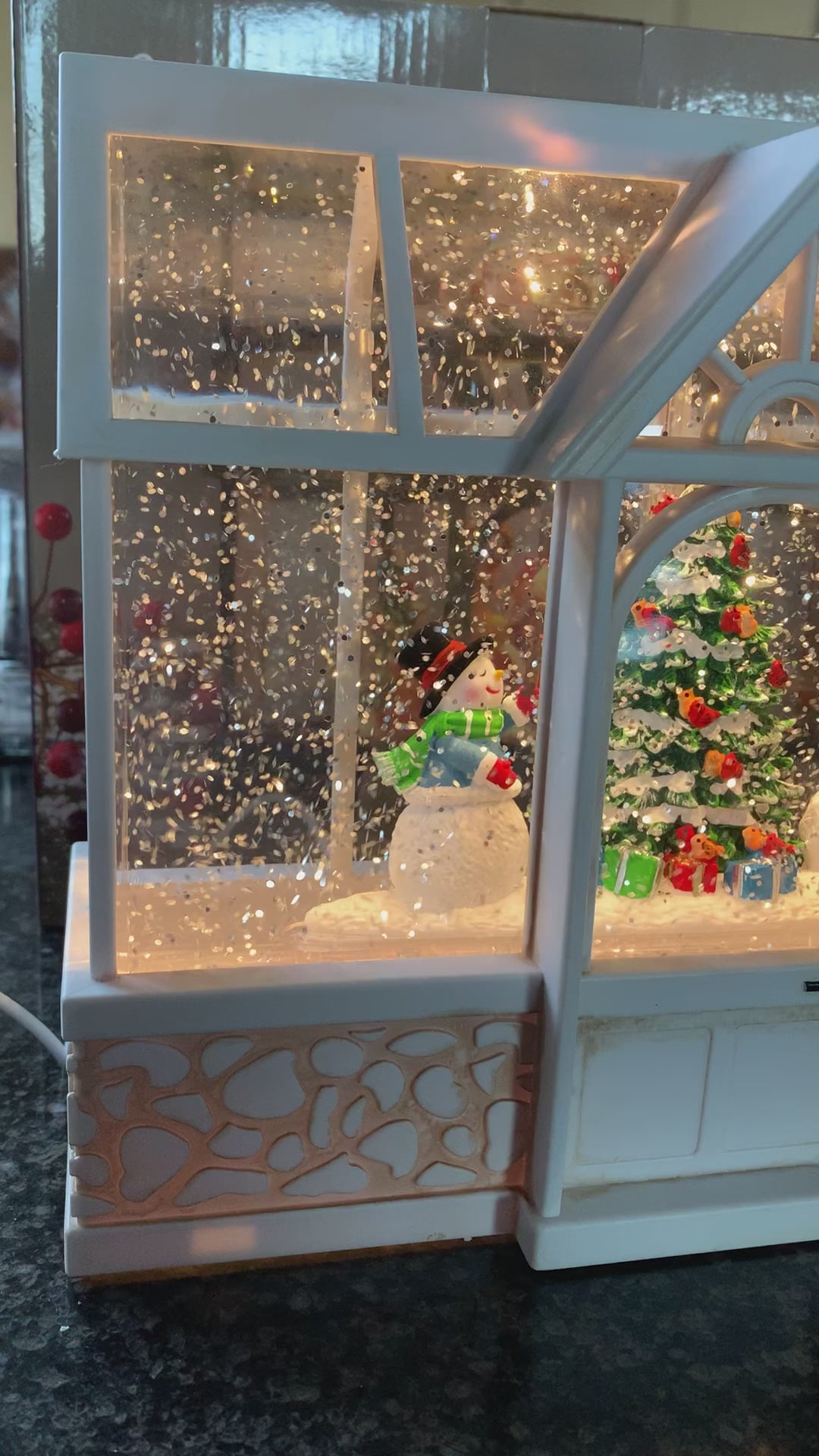 Green/glass house christmas snow globe snowman video